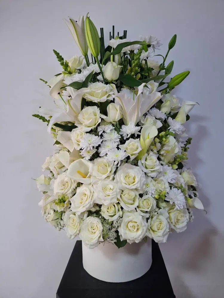 Moon Flower view 2